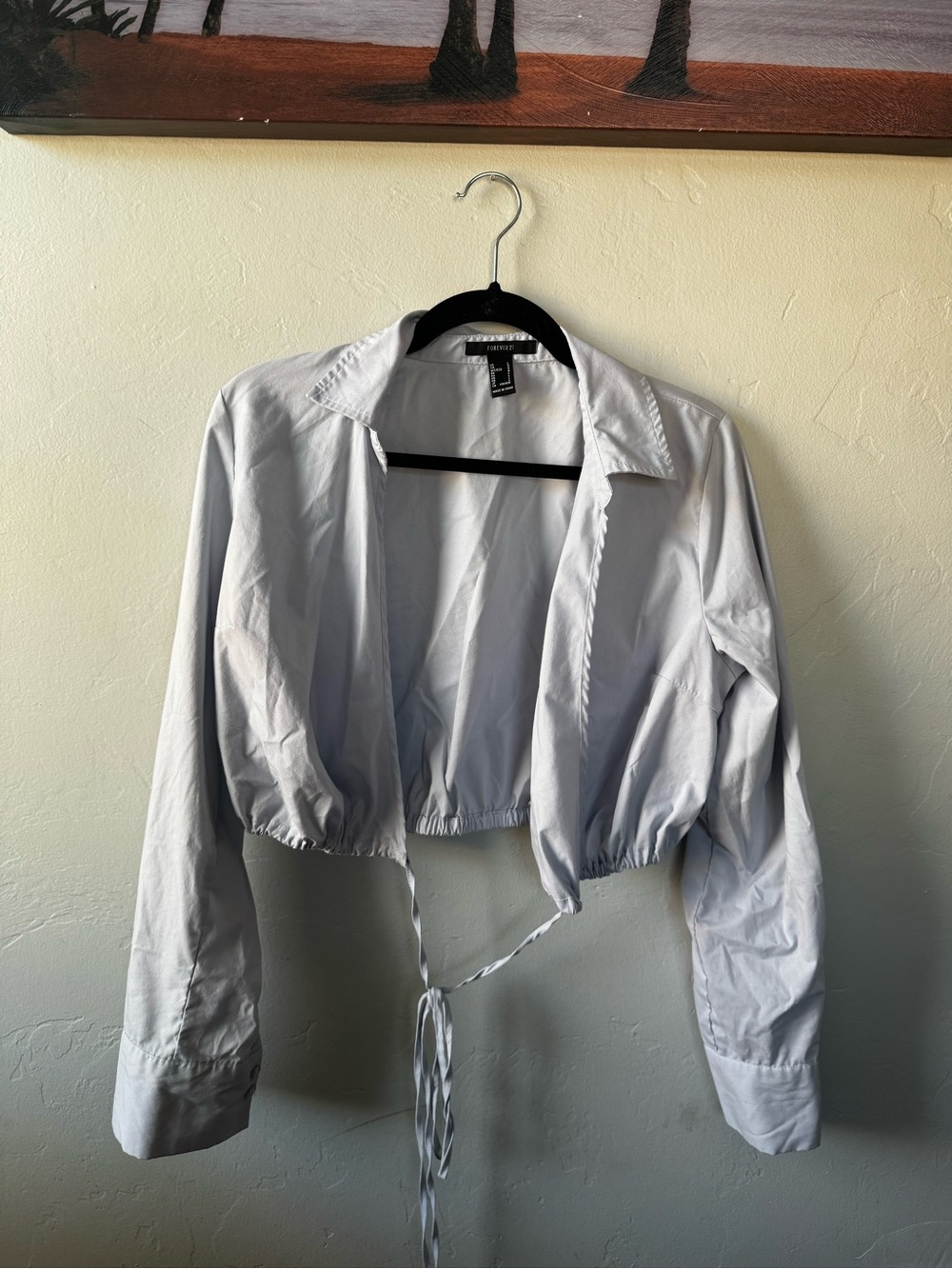 Forever 21 Light Gray Cropped Tie-Front Button-Up Shirt